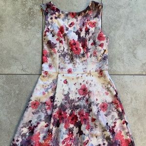 Adrianna Papell Dress, Size 2